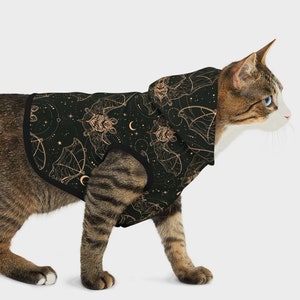 May include: A tabby cat wearing a black hooded cat sweater with a gold bat and moon pattern.