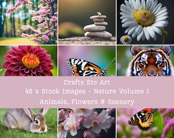 Nature Volume 1 - Stock Images - 48 x Photographic Style Images - Animals - Flowers - Trees - Scenery