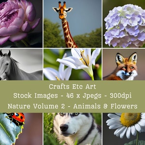 Natur Volumen 2 - 46 x Fotografischer Stil Bilder - Natur Bildbündel - Tiere und Blumen - Wildtiere und Landschaft