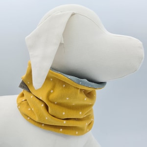 Könnte beinhalten: Senfgelber Hunde-Halsschlauch mit weißem Sternmuster. Der Wendeschal hat ein grau-weißes Tupfenfutter. Auf dem Etikett steht "Handmade Individuell". Der Halsschlauch wird auf einer weißen Hunde-Mannequin präsentiert.