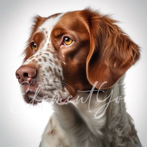 Brittany Spaniel Clipart, 12 JPG di alta qualità, Dog Clipart, Digital Paper Craft, Card Making, Download digitale per uso commerciale