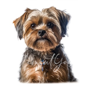Shorkie Clipart, 12 JPG de alta calidad, Animal Jpg, Clipart de perro, Arte de papel digital, Fabricación de tarjetas, Descarga digital para uso comercial