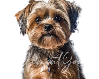 Shorkie Clipart, 12 High Quality JPGs, Animal Jpg, Dog Clipart, Digital Paper Craft, Card Making, Digital Download for Commercial use