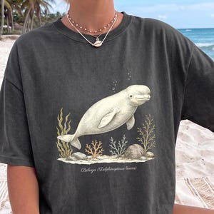 May include: A charcoal gray short-sleeve t-shirt featuring a detailed illustration of a white beluga whale swimming above coral and rocks. The text below the whale reads Beluga (Delphinapterus leucas). The shirt has a crew neckline.
