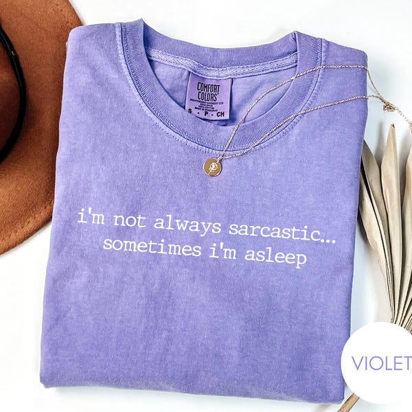 Funny Quote Shirt, Sarcastic Saying Graphic Tee, Meme Tee, Dry Adult Humor Comfort Colors Vintage Style Tshirt