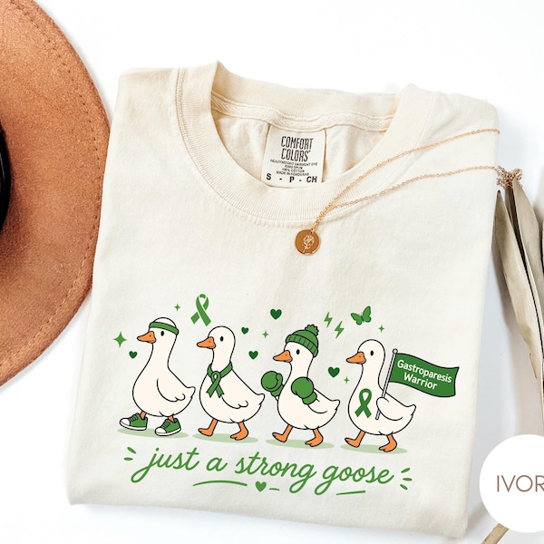 Gastroparesis Warrior Shirt, Awareness Goose Tee, Comfort Colors Vintage Style Graphic Tee