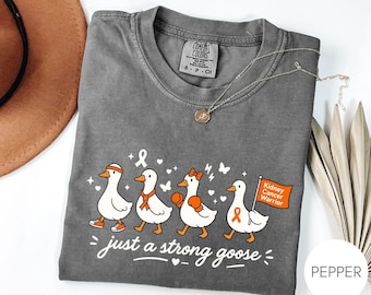 Kidney Cancer Awareness Shirt, Goose Disease Warrior Tee, Comfort Colors Vintage Style Graphic Tee