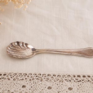 Cucchiaio da zucchero vintage placcato argento a forma di conchiglia SupraSIL 100 Paesi Bassi 14,5 cm