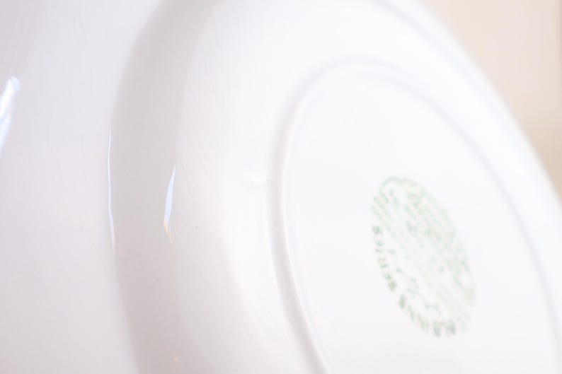 May include: Close-up of a white ceramic plate with a curved rim. The plate has a glossy finish and a subtle, curved design. A green and white stamp is visible on the bottom right corner.