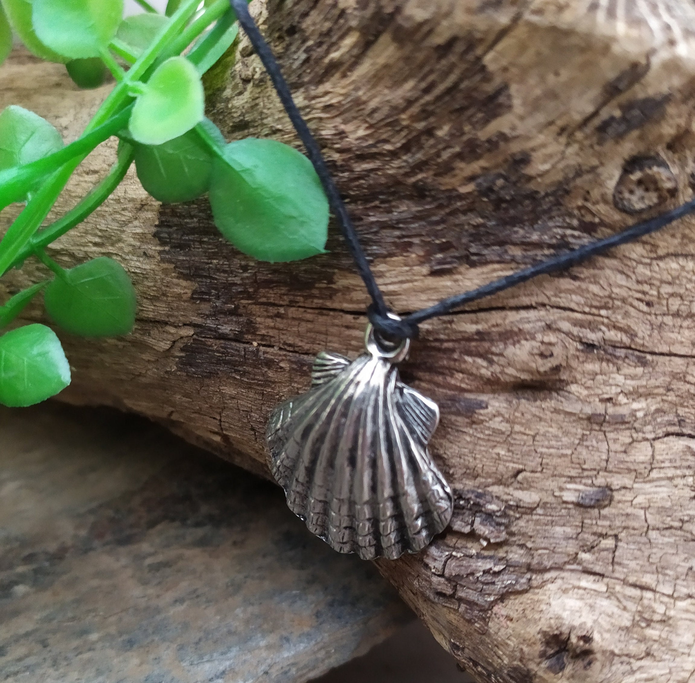 Collier Pendentif Coquille Saint Jacques Verte + Chaîne Argentée 50cm - Bijoux Des Lys