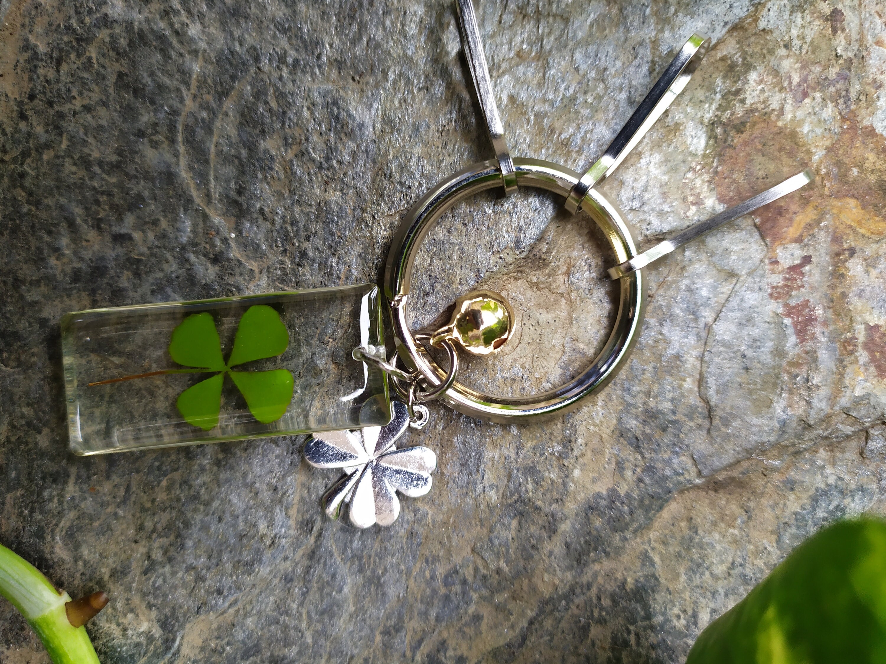 Collier Porte-Bonheur – Véritable Trèfle à 4 Feuilles, Pendentif Vert, Longueur 60 Cm