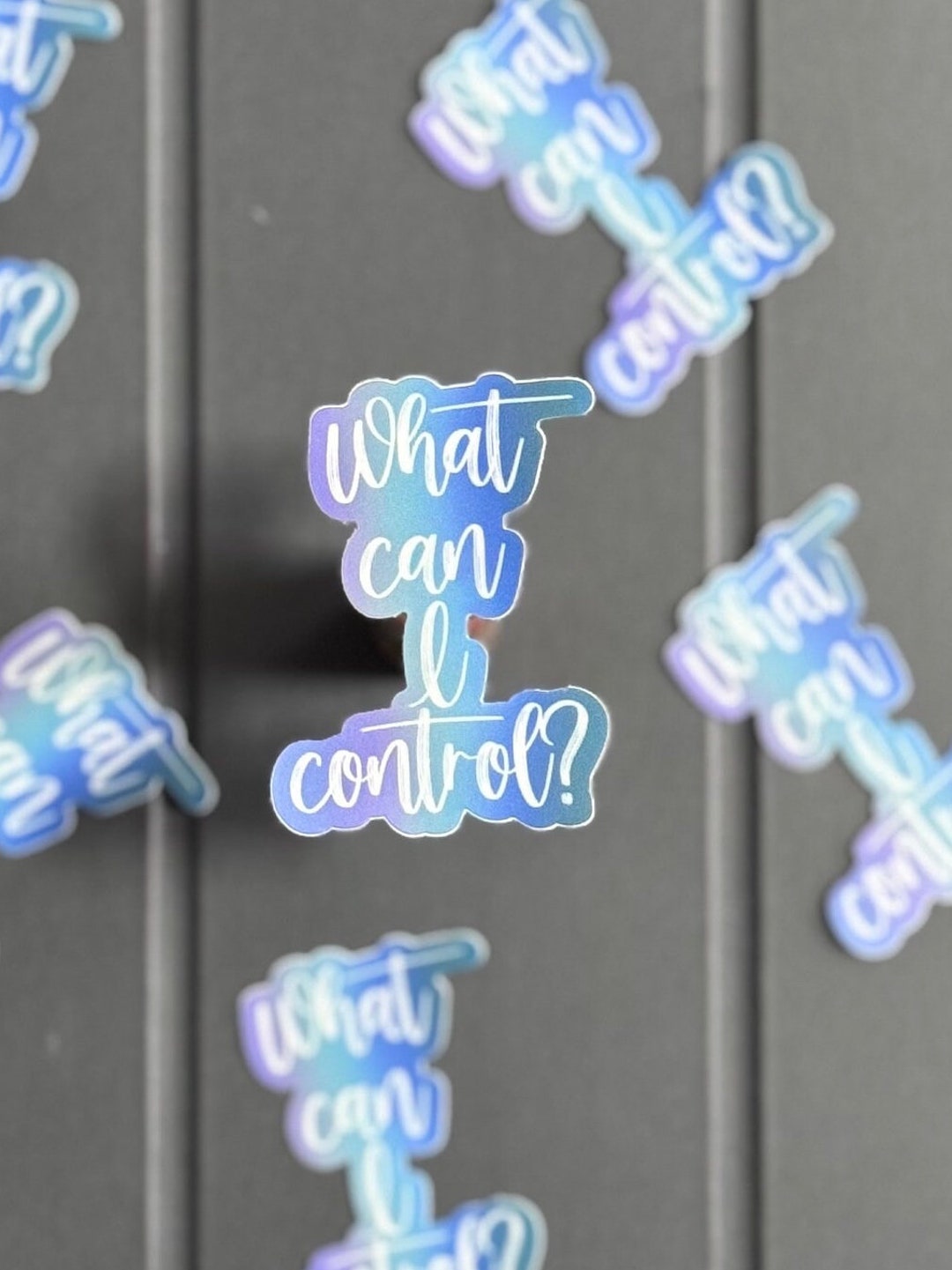 Controls Life Sticker Inspirational Waterproof Vinyl Sticker What Can I Control? - Durable ...