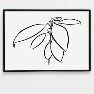 digital download - illustration of avocado plant line art simple minimal black white printable black white Pflanze einfach schlicht Linie