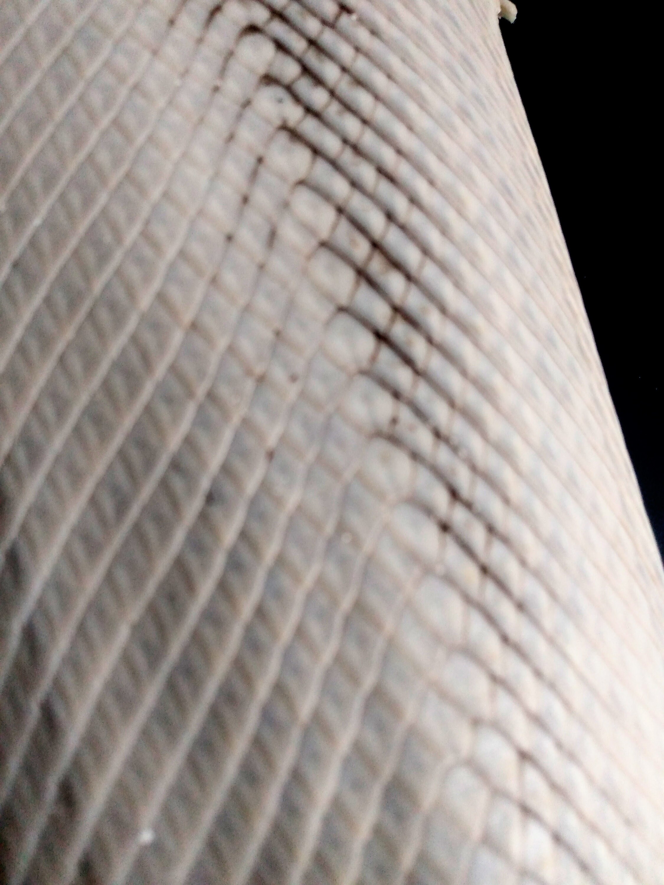 Alligator gar skin boots cheap