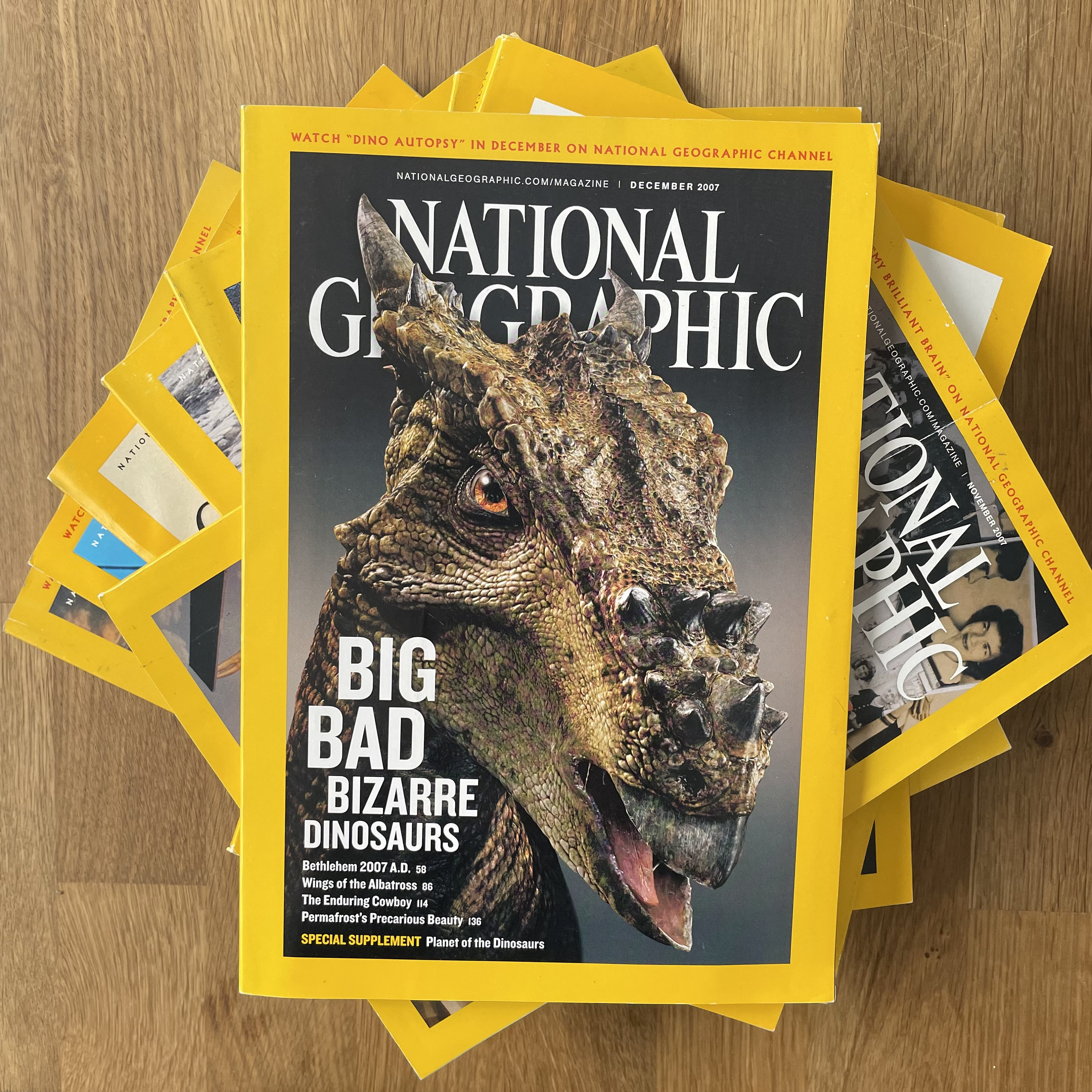 2007 National Geographic, Pick Your Magazine - Etsy
