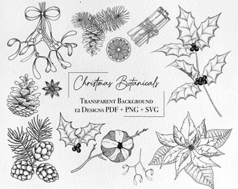 Clipart botánico navideño SVG, arte lineal de invierno vectorial, elementos florales navideños, flor de pascua, muérdago, piña, hojas de acebo, canela