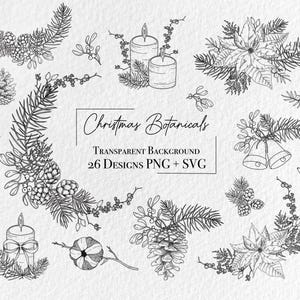 Christmas Botanical Clipart SVG, Vector winter line art, X-mas elements, poinsettia, mistletoe, Pine cone, Digital Download, Commercial Use
