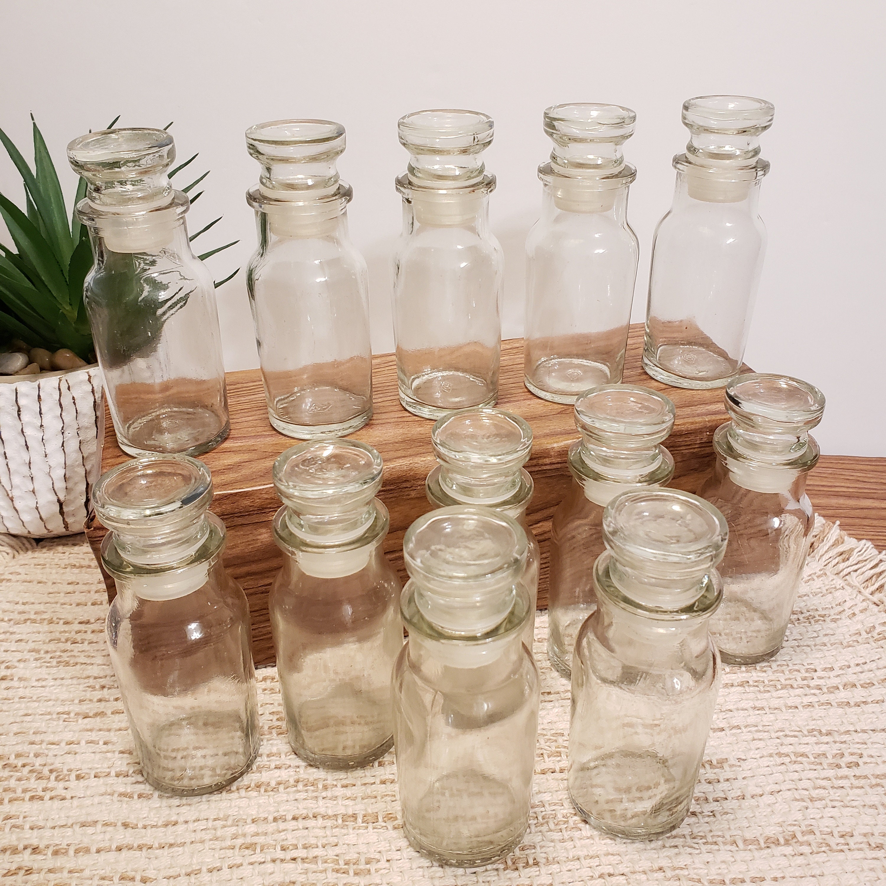 Vintage Glass Spice Bottles - 1970's Kitchen Storage Apothecary Botani – In  The Vintage Kitchen Shop