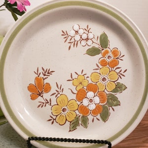 6 "Spring Garden" Dinner Plates by Country Casual Japan