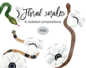Floral Snake Watercolor Clipart: Hand Painted PNG (Commercial Use)