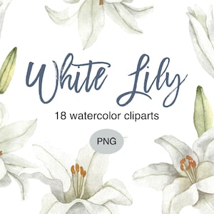 白いユリの水彩画クリップアート：春の花のPNGバンドル（商用利用）