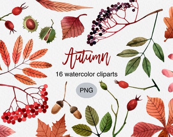 Autumn Watercolor Clipart Set: Fall Leaves & Berries (PNG, Commercial Use)