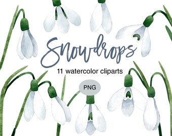 Snowdrop Flower Watercolor Clipart: Spring Floral PNG Bundle