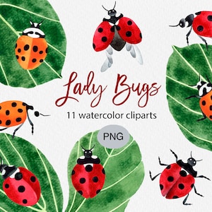 Ladybug Watercolor Clipart, Lady Bugs Watercolor Set, Ladybug Png Download, Insect Watercolor Png, Hand Painted, Commercial Use Png