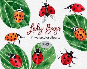 Ladybug Watercolor Clipart Set: Hand-Painted Insect PNG (Commercial Use)