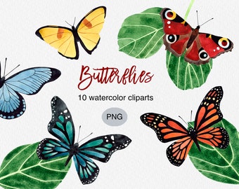 Watercolor Butterfly Clipart: Hand Painted Insect PNG (Commercial Use)