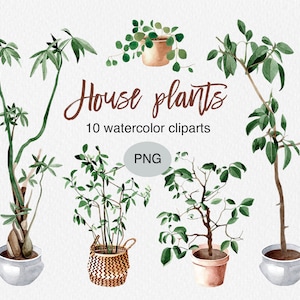 May include: Ten watercolour illustrations of houseplants in pots and a basket. The plants are green and have brown stems. The pots are white, brown, and beige. The text "House plants" and "10 watercolour clipart PNG" is written in brown.