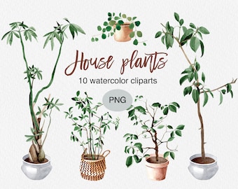 Watercolor House Plants Clipart: Potted Indoor Plants (PNG Download)