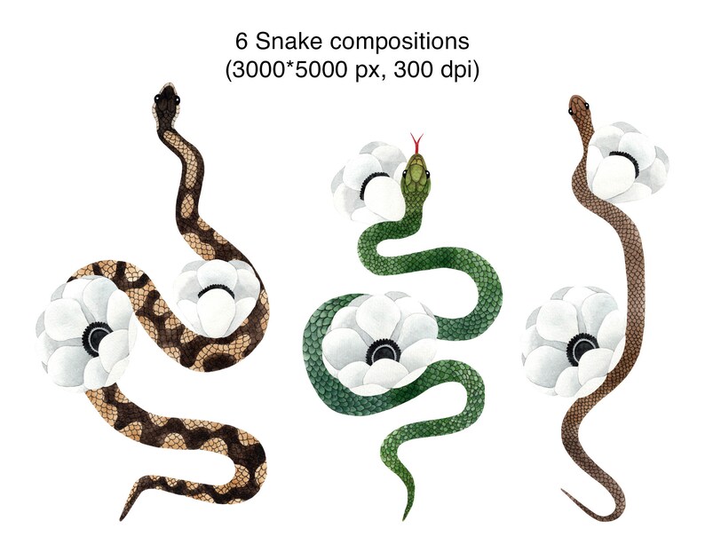 May include: Six watercolor illustrations of snakes with white flowers. The snakes are in various poses and colors, including brown, green, and black.