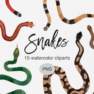 Snake Watercolor Clipart, Snakes Watercolor Clip Art, Snake Clipart, Floral Snake Png, Watercolor Flowers, Hand Painted, Commercial Use Png
