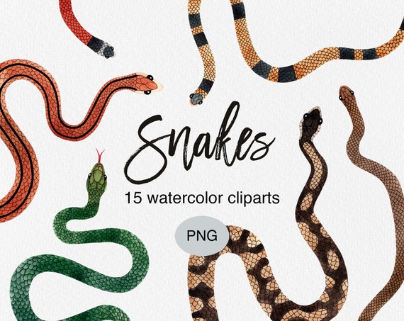 Watercolor Snake Clipart: Floral Snake PNG, Hand-Painted (Commercial Use)
