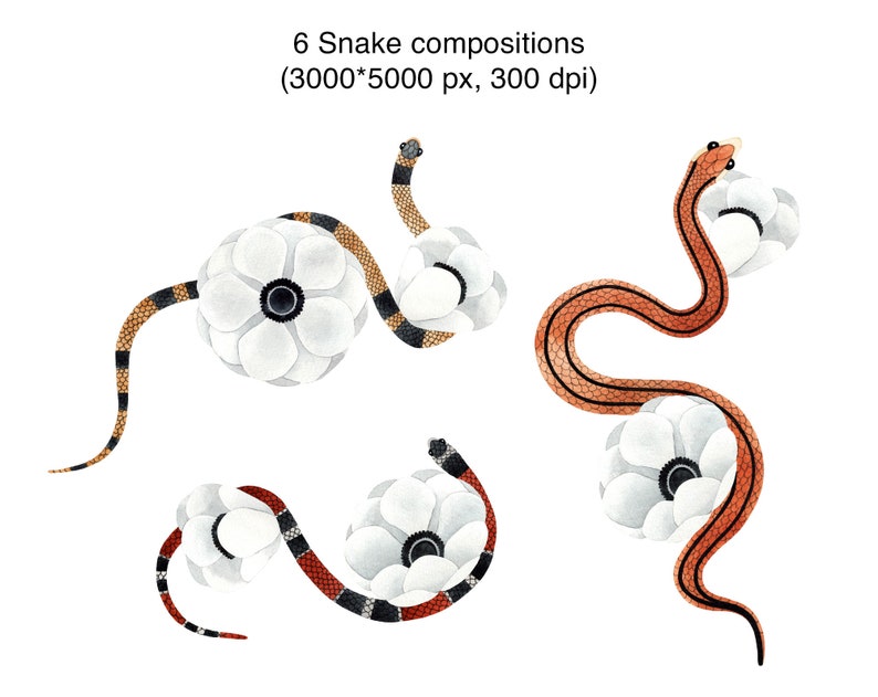 May include: Six watercolor illustrations of snakes curled around white flowers. The snakes are in various colors, including red, orange, black, and white.