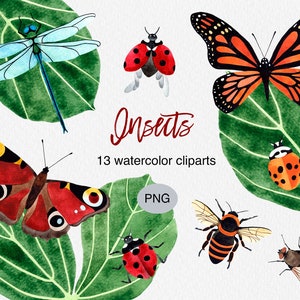 Watercolor Insect Clipart: Butterfly, Ladybug, Bugs (PNG Download)