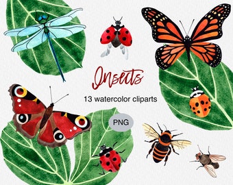 Watercolor Insect Clipart: Butterfly, Ladybug, Bugs (PNG Download)