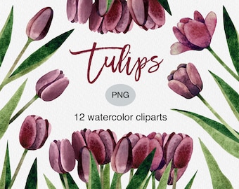 Watercolor Tulip Clipart: Spring Flower PNG Bundle (Commercial Use)
