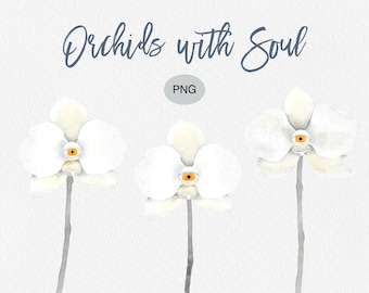 Orchids with Soul: Watercolor Clipart Set (PNG Files)
