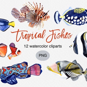 Watercolor Tropical Fish Clipart: PNG Download for Commercial Use