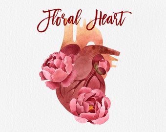 Floral Heart Watercolor Clipart: Anatomy Art PNG (Commercial Use)