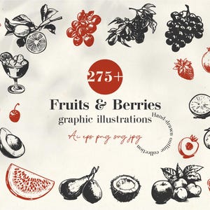 Fruits & Berries Illustrations | Hand-drawn Line Art, Bundle SVG, Orange, Lemon, Banana, Wall Art, Png Clipart, Svg Clipart, Vector Clipart