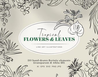 Plantes tropicales, dessin au trait floral, dessin au trait botanique, clipart tropical, fleurs et plantes vectorielles dessinées à la main, clipart PNG SVG pour logo