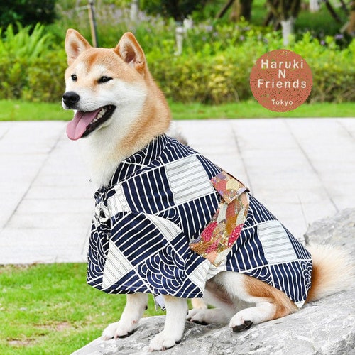 japanese dog costume