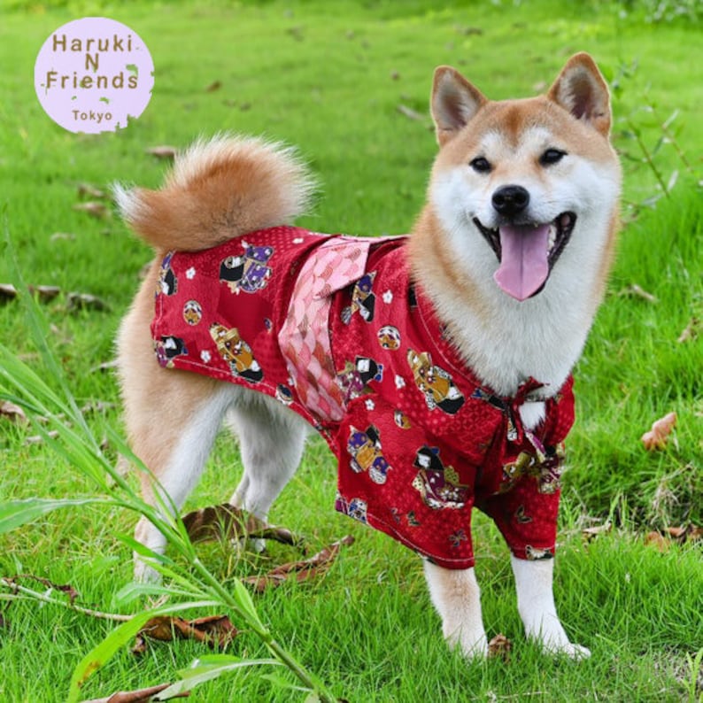 Dog Kimono サーフ Handmade Unique Dog Clothestraditional Japanese