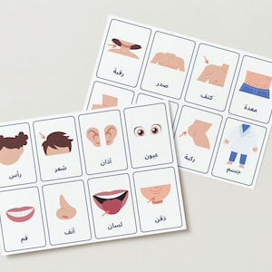 Arabisch Körperteile | 22 Karteikarten | Nomenklaturkarten | PDF Druckbar | Vorschule | Hausschule | Digitaler Download | Lehrreich