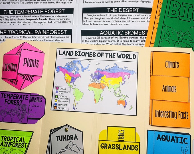 Biome Cards - Etsy