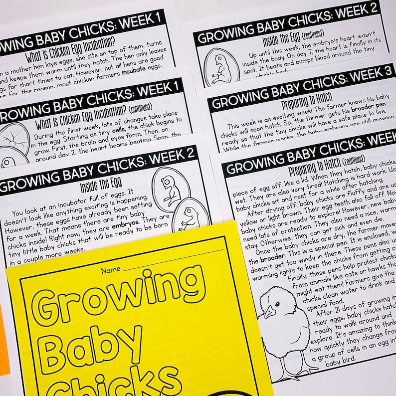 Chicken Egg Incubation Timeline Chicken Egg Tracker for Egg Incubator ...