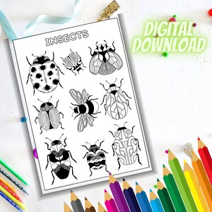Adult Colouring Page Instant Download, Printable Coloring Page, Insects PDF PNG JPEG